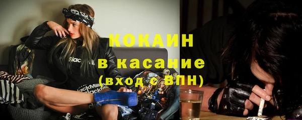 стафф Алзамай