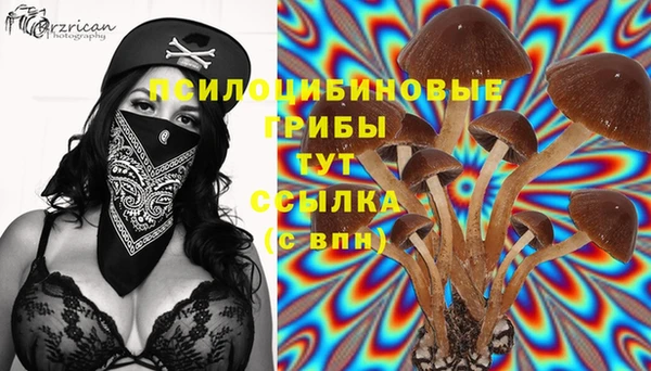 кокаин колумбия Алексин