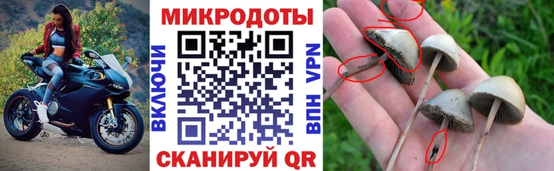 где купить наркоту  Спасск  Псилоцибиновые грибы прущие грибы 